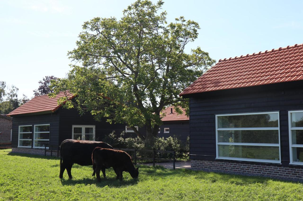 Met De Kippen Op Stok - Vakantiehuisjes Villa Baexem Bagian luar foto