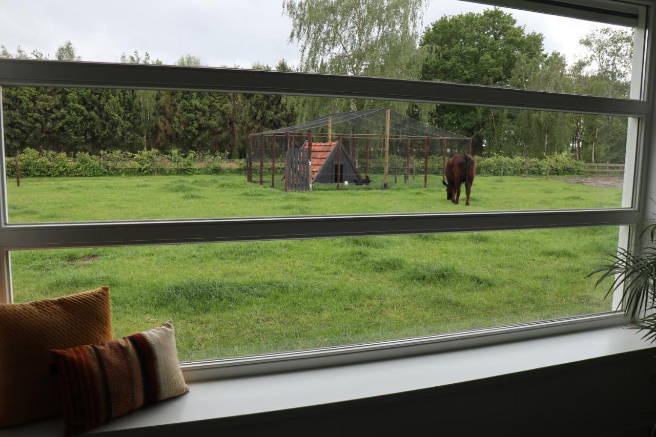 Met De Kippen Op Stok - Vakantiehuisjes Villa Baexem Bagian luar foto